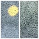 Ultra Brite Carpet & Tile Cleaning North Shore logo